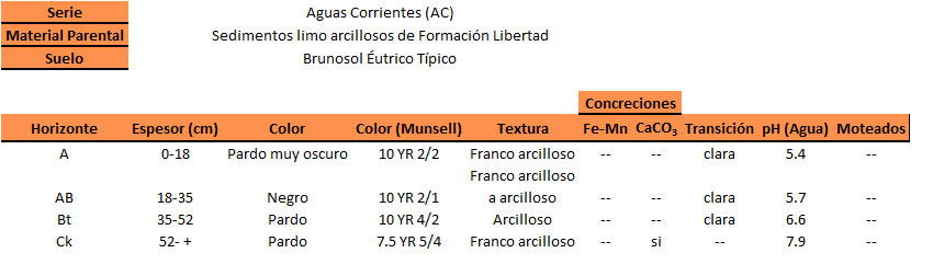 Brunosol-eutrico-tipico