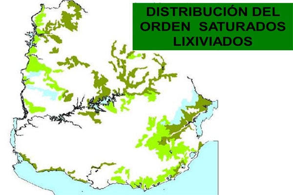 Distribución suelos en el país