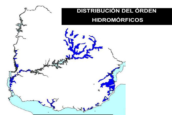 Distribución Hidromórficos