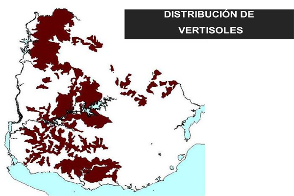 Distribución Vertisoles