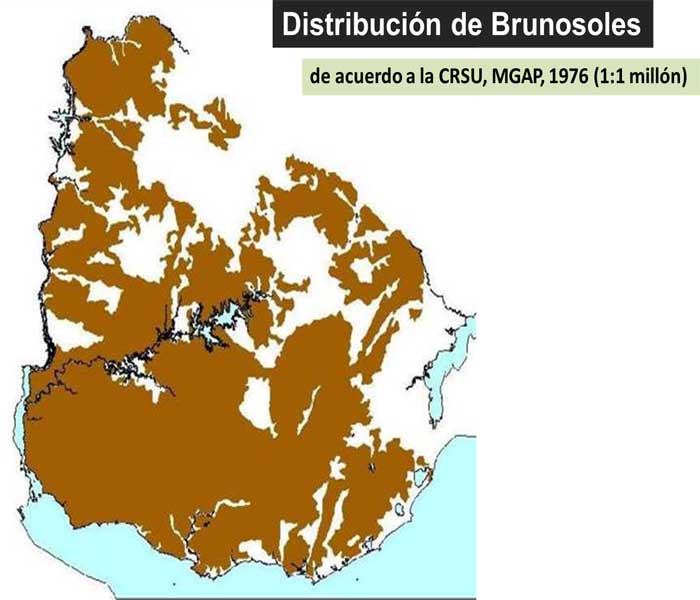 Distribución Brunosoles