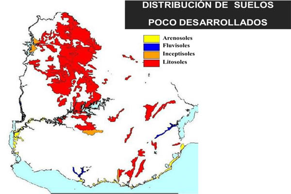 dISTRIBUCIÓN pOCO dESARROLLADOS