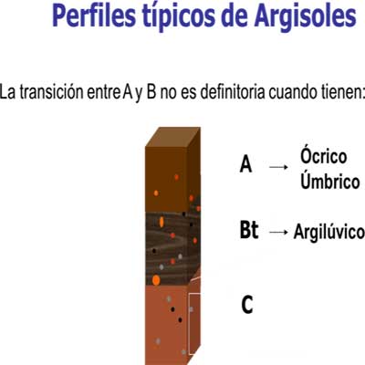 Perfil modal 2